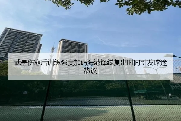 武磊伤愈后训练强度加码海港锋线复出时间引发球迷热议